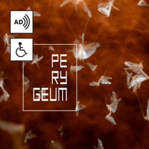 Oprowadzanie po wystawie Perygeum z kuratorem i audiodeskrypcją. 13 października.